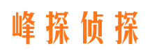 武胜市调查公司